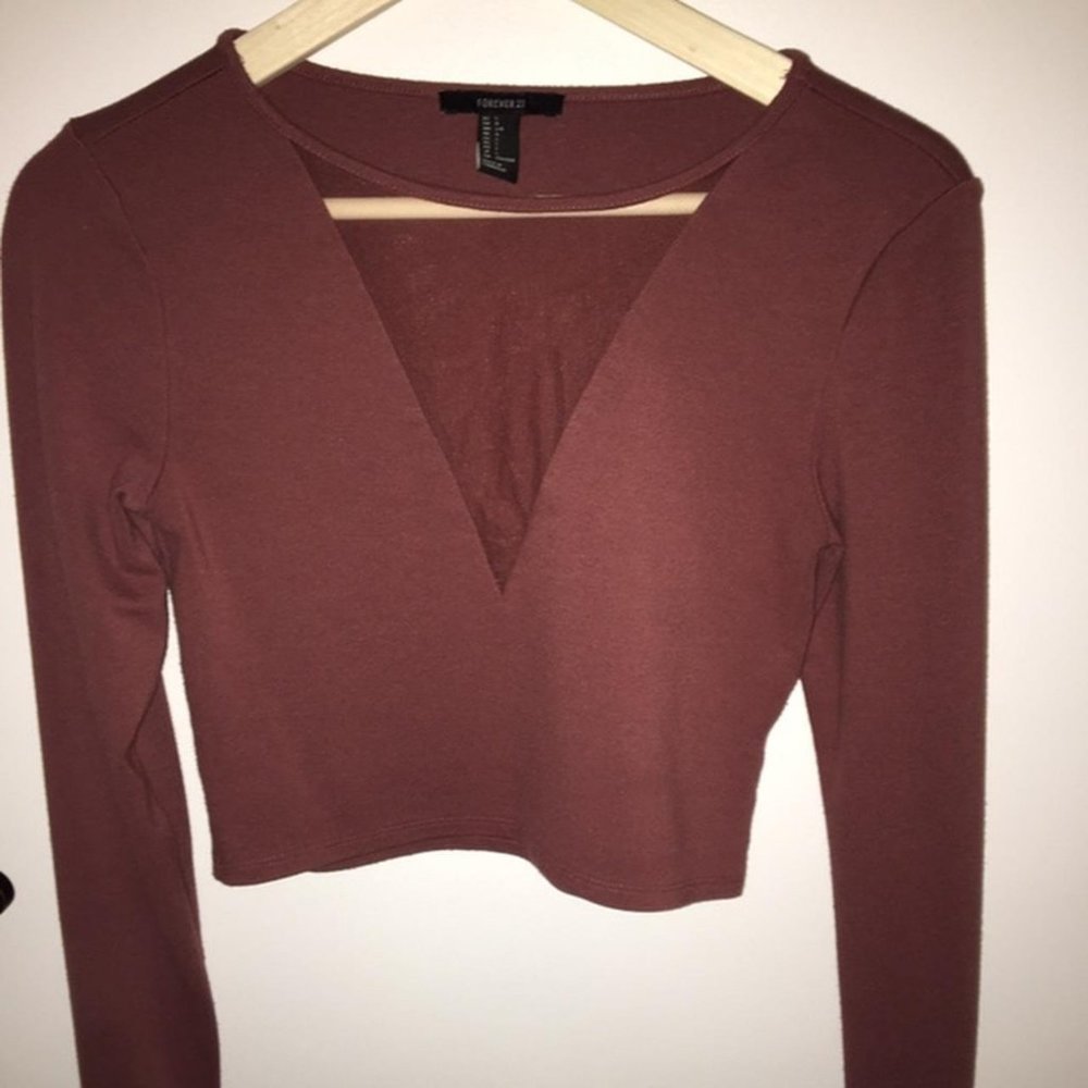 Long Sleeve Crop top and sheer neck line